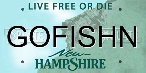 GOFISHN New Hampshire License Plate