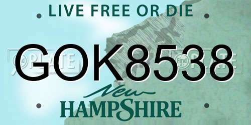 GOK8538 New Hampshire License Plate