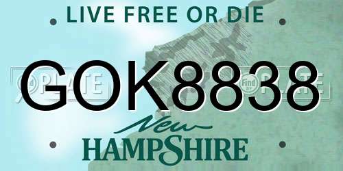 GOK8838 New Hampshire License Plate