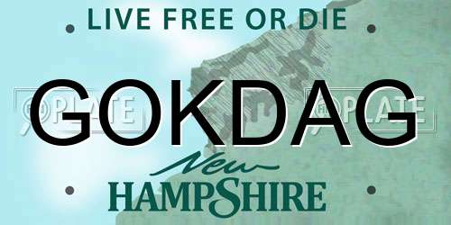 GOKDAG New Hampshire License Plate