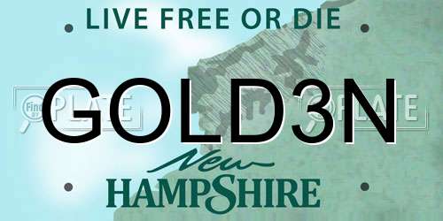 GOLD3N New Hampshire License Plate