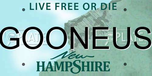GOONEUS New Hampshire License Plate