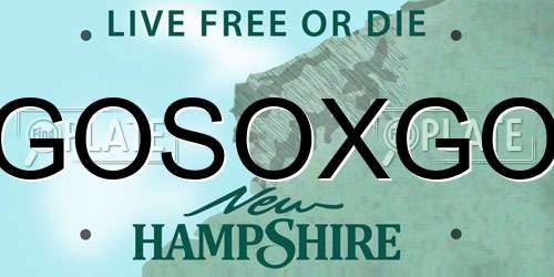 GOSOXGO New Hampshire License Plate