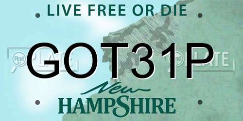 GOT31P New Hampshire License Plate