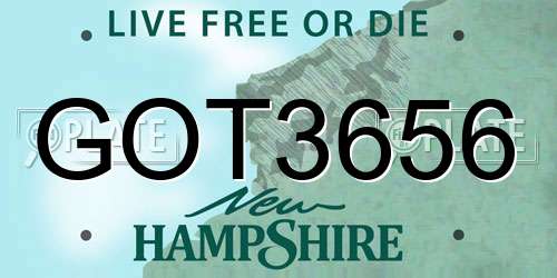 GOT3656 New Hampshire License Plate