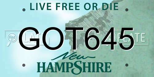 GOT645 New Hampshire License Plate