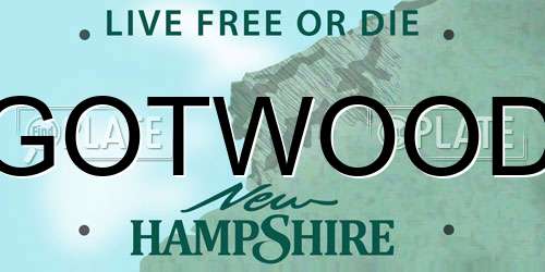 GOTWOOD New Hampshire License Plate