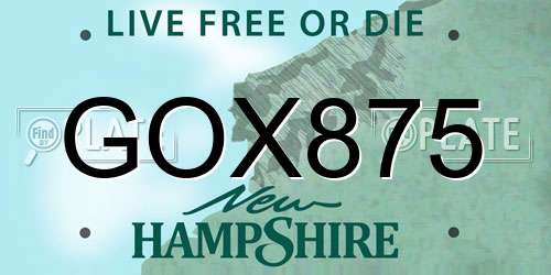 GOX875 New Hampshire License Plate