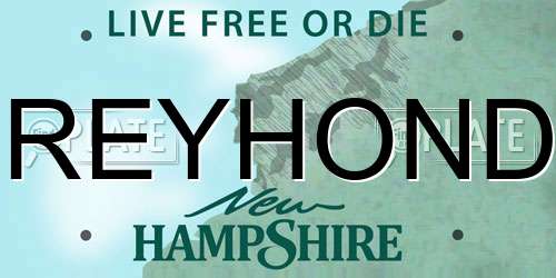 GREYHONDA New Hampshire License Plate