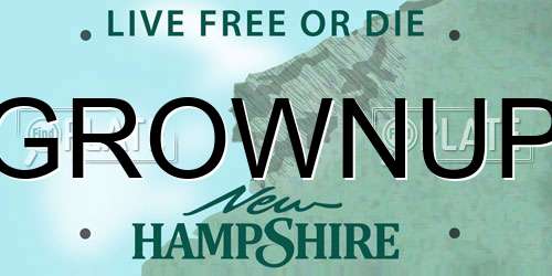GROWNUP New Hampshire License Plate