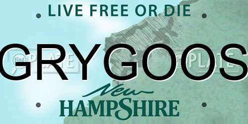 GRYGOOS New Hampshire License Plate