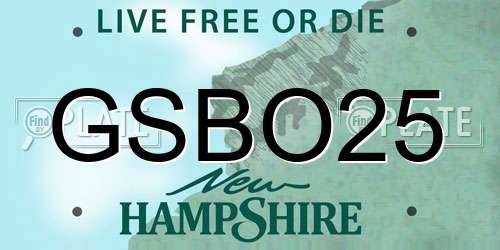 GSBO25 New Hampshire License Plate