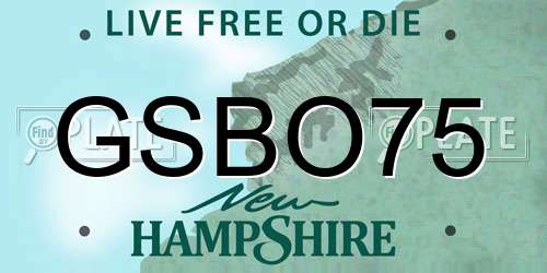 GSBO75 New Hampshire License Plate