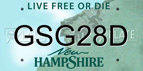 GSG28D New Hampshire License Plate