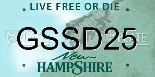 GSSD25 New Hampshire License Plate