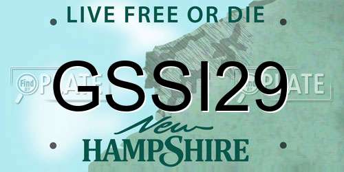 GSSI29 New Hampshire License Plate