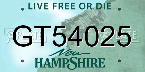 GT54025 New Hampshire License Plate