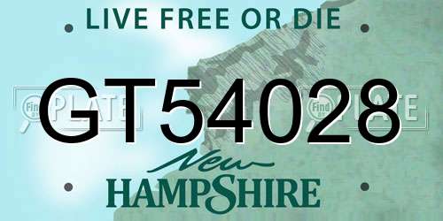 GT54028 New Hampshire License Plate