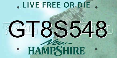GT8S548 New Hampshire License Plate