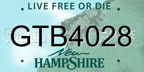 GTB4028 New Hampshire License Plate