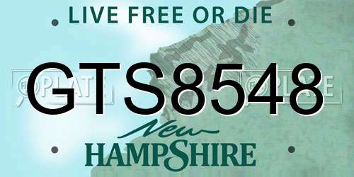 GTS8548 New Hampshire License Plate