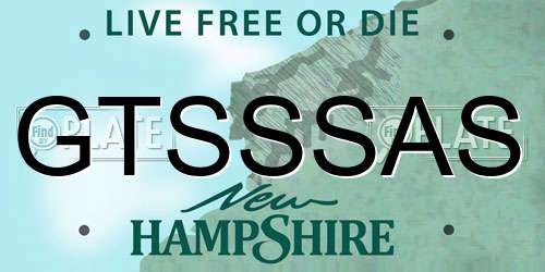 GTSSSAS New Hampshire License Plate