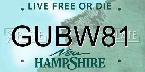 GUBW81 New Hampshire License Plate