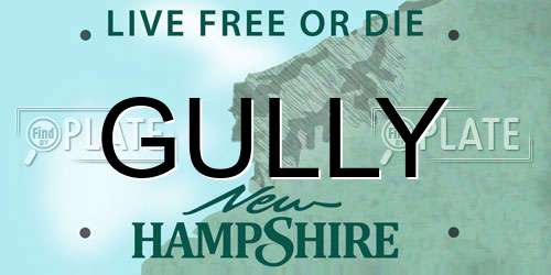 GULLY New Hampshire License Plate
