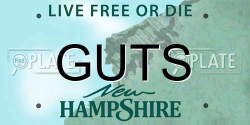GUTS New Hampshire License Plate