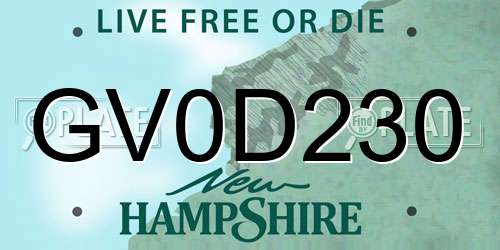 GV0D230 New Hampshire License Plate