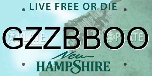 GZZBBOO New Hampshire License Plate