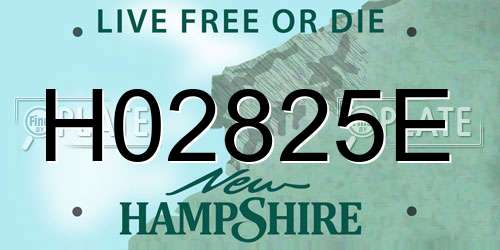 H02825E New Hampshire License Plate