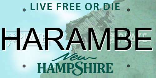 HARAMBE New Hampshire License Plate