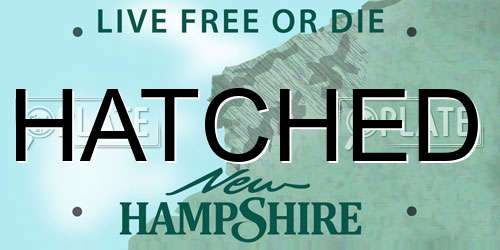 HATCHED New Hampshire License Plate
