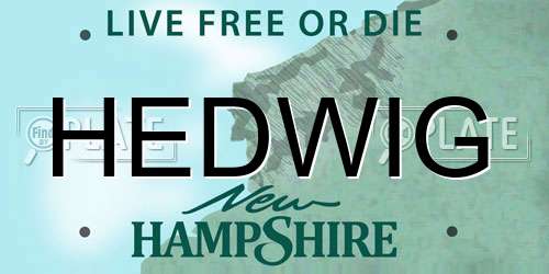 HEDWIG New Hampshire License Plate