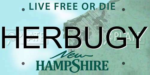 HERBUGY New Hampshire License Plate