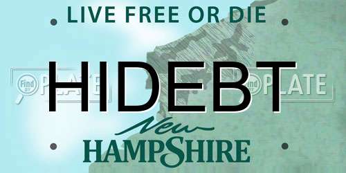 HIDEBT New Hampshire License Plate