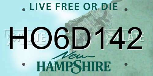 HO6D142 New Hampshire License Plate