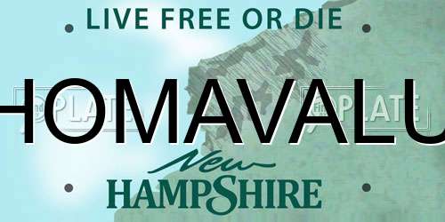 HOMAVALU New Hampshire License Plate