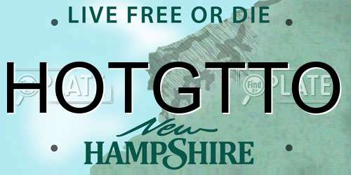 HOTGTTO New Hampshire License Plate