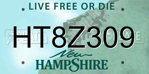 HT8Z309 New Hampshire License Plate