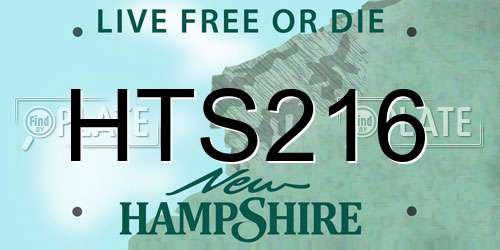 HTS216 New Hampshire License Plate