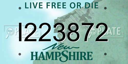 I223872 New Hampshire License Plate