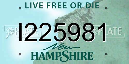 I225981 New Hampshire License Plate