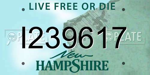 I239617 New Hampshire License Plate