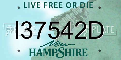 I37542D New Hampshire License Plate
