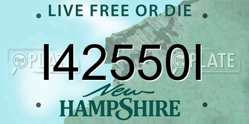I42550I New Hampshire License Plate