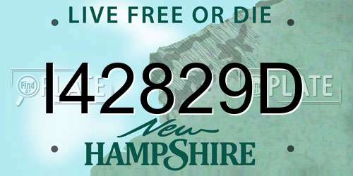 I42829D New Hampshire License Plate