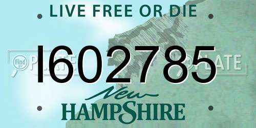I602785 New Hampshire License Plate