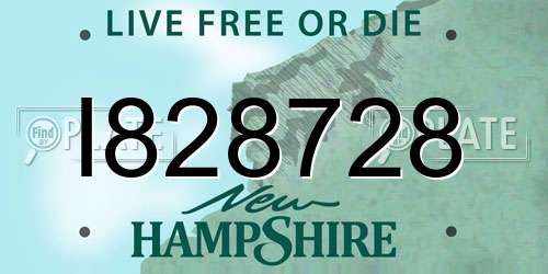 I828728 New Hampshire License Plate